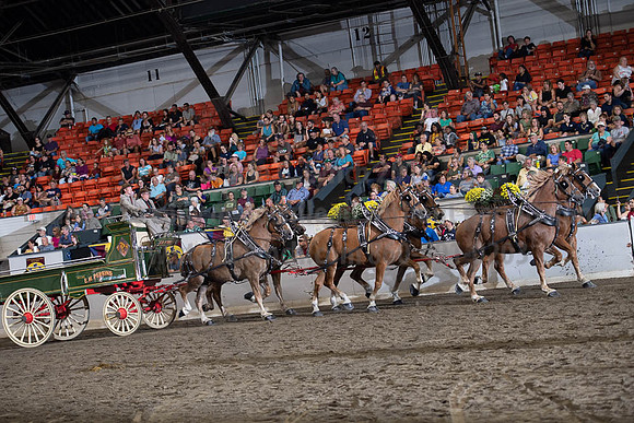 2019BigE_09292019_SCL_0013