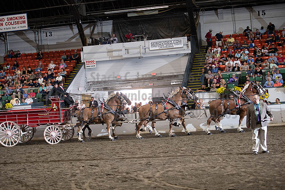 2019BigE_09292019_SCL_0014