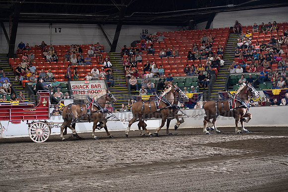 2019BigE_09292019_SCL_0015