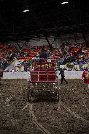 2019BigE_09292019_SCL_0017