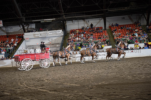 2019BigE_09292019_SCL_0020
