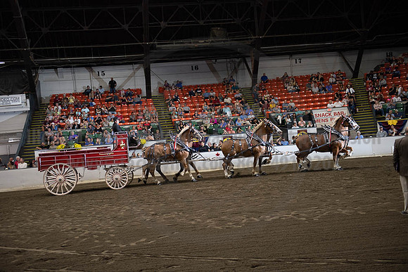2019BigE_09292019_SCL_0022