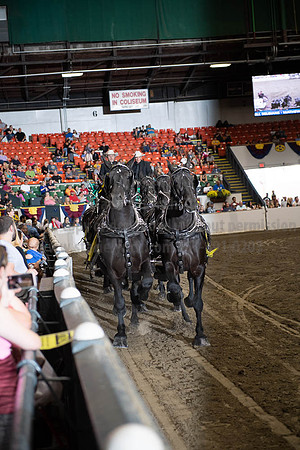 2019BigE_09292019_SCL_0029