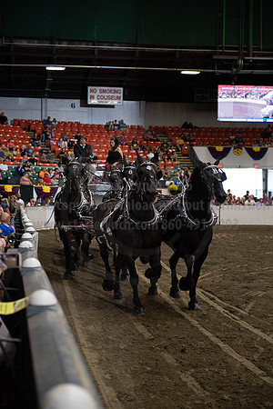2019BigE_09292019_SCL_0030