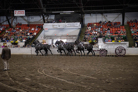2019BigE_09292019_SCL_0031