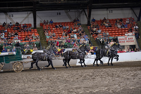 2019BigE_09292019_SCL_0038