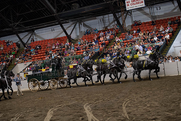 2019BigE_09292019_SCL_0041