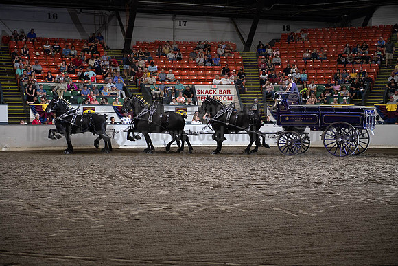 2019BigE_09292019_SCL_0045