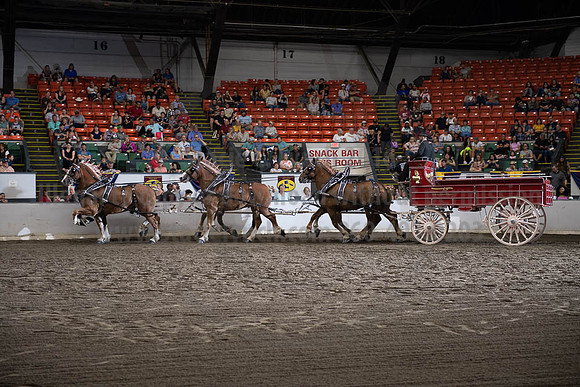 2019BigE_09292019_SCL_0047