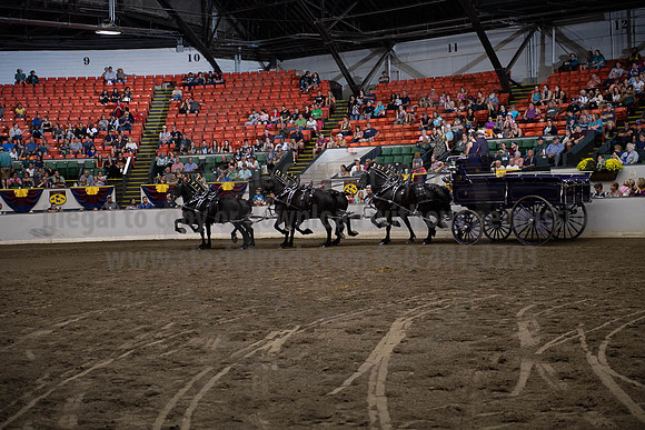 2019BigE_09292019_SCL_0052