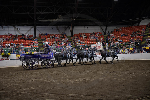 2019BigE_09292019_SCL_0054