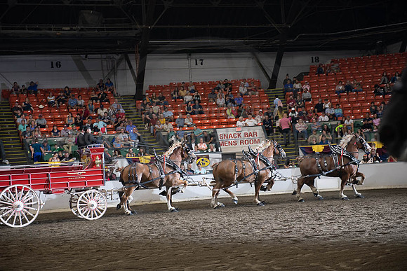 2019BigE_09292019_SCL_0055