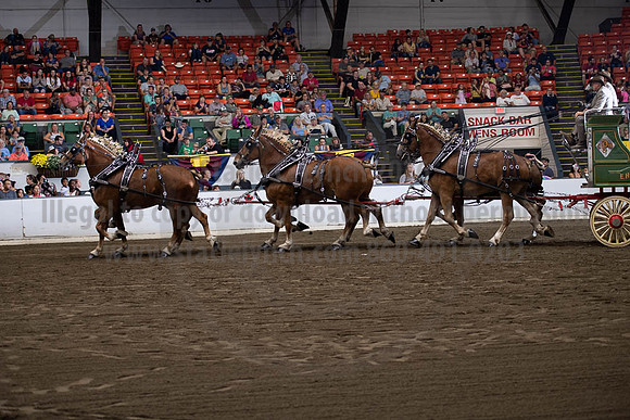 2019BigE_09292019_SCL_0060