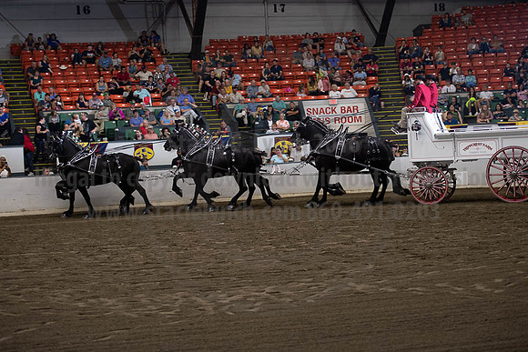 2019BigE_09292019_SCL_0064