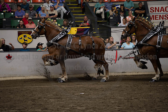 2019BigE_09292019_SCL_0067
