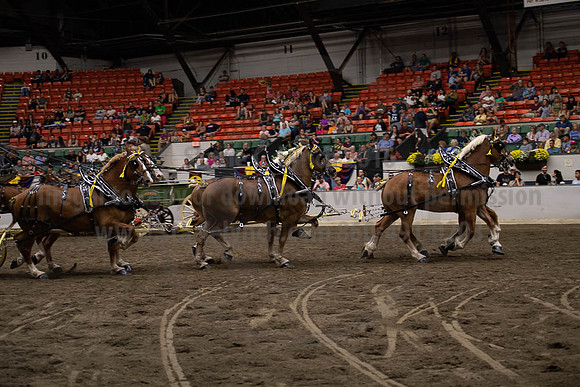 2019BigE_09292019_SCL_0069