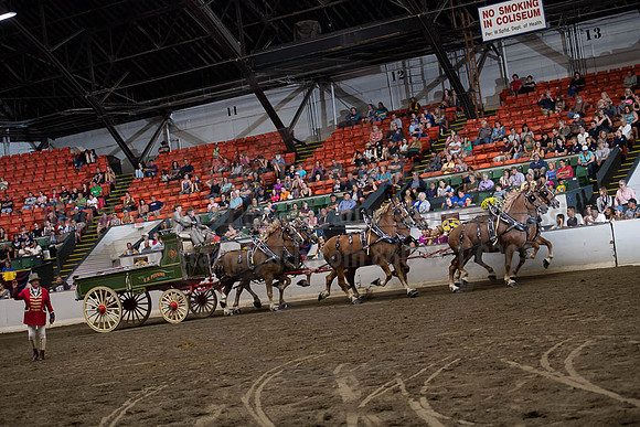 2019BigE_09292019_SCL_0070