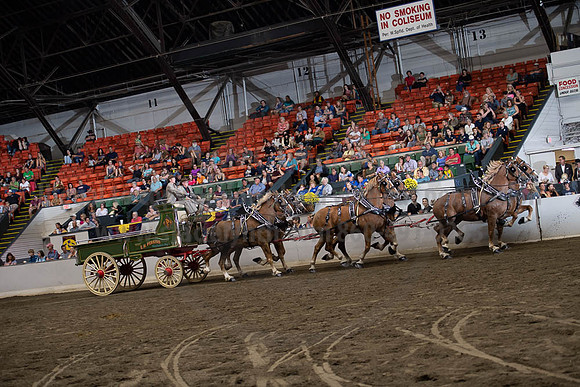 2019BigE_09292019_SCL_0071