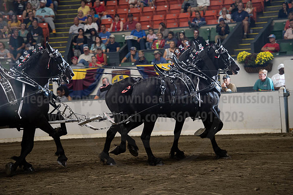 2019BigE_09292019_SCL_0076