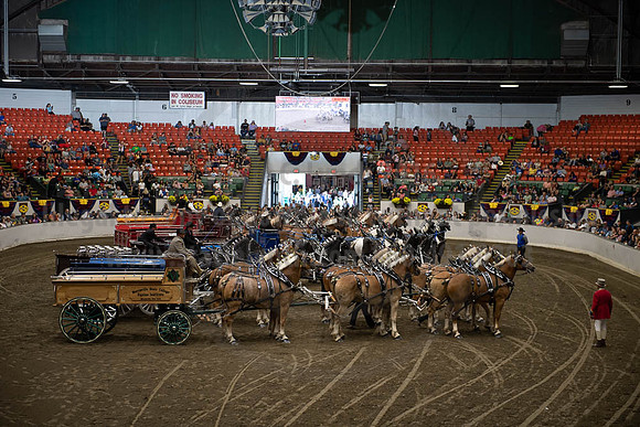 2019BigE_09292019_SCL_0082