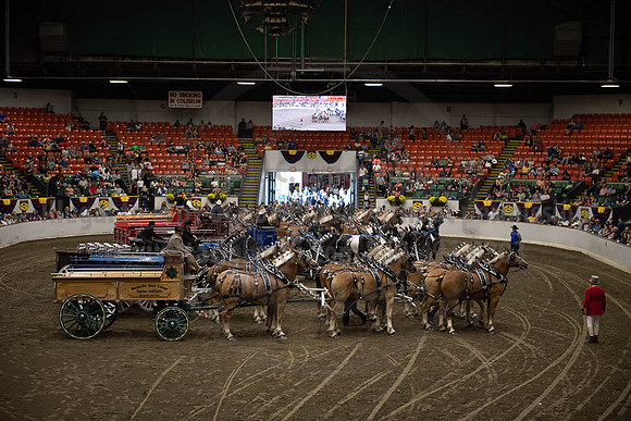 2019BigE_09292019_SCL_0083