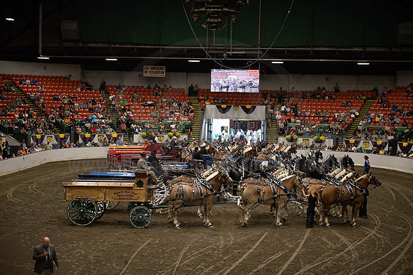 2019BigE_09292019_SCL_0085