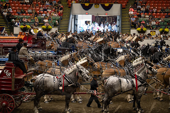 2019BigE_09292019_SCL_0089