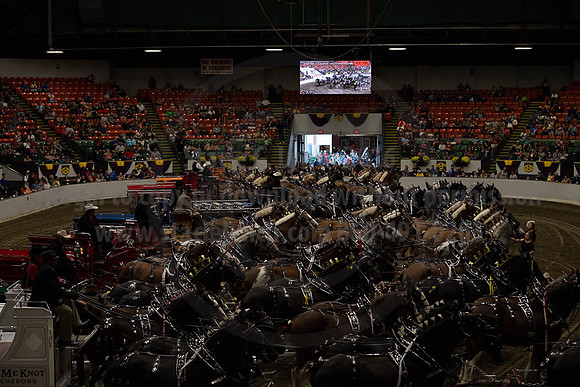 2019BigE_09292019_SCL_0095
