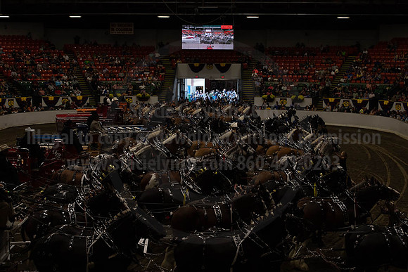 2019BigE_09292019_SCL_0098