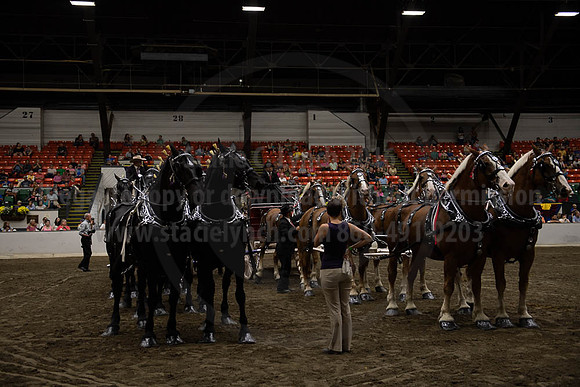 2019BigE_09292019_SCL_0131