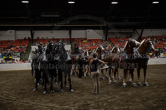 2019BigE_09292019_SCL_0132