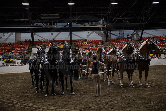 2019BigE_09292019_SCL_0133