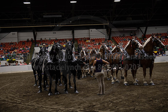 2019BigE_09292019_SCL_0134
