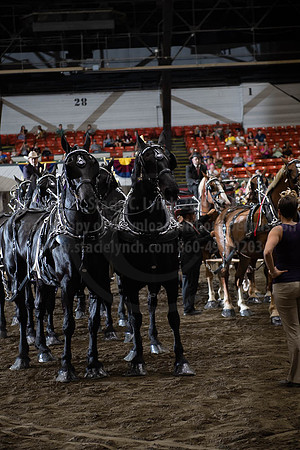 2019BigE_09292019_SCL_0135
