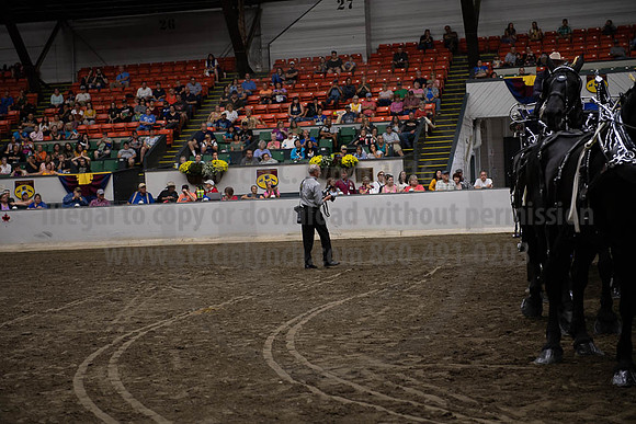 2019BigE_09292019_SCL_0136