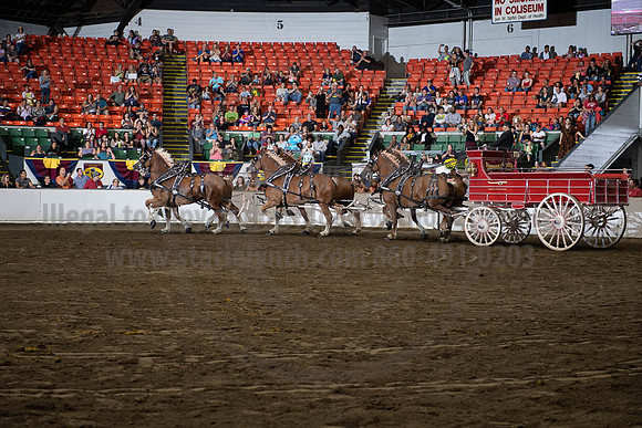 2019BigE_09292019_SCL_0144
