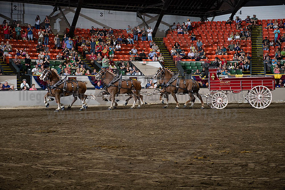 2019BigE_09292019_SCL_0145