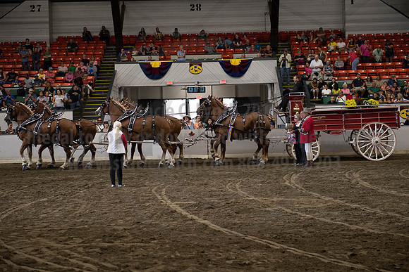 2019BigE_09292019_SCL_0146