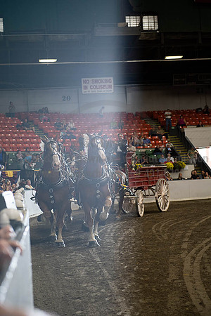 2019BigE_09292019_SCL_0149