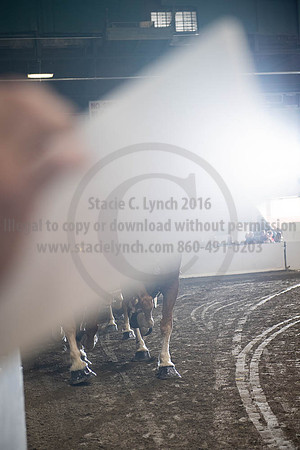 2019BigE_09292019_SCL_0150