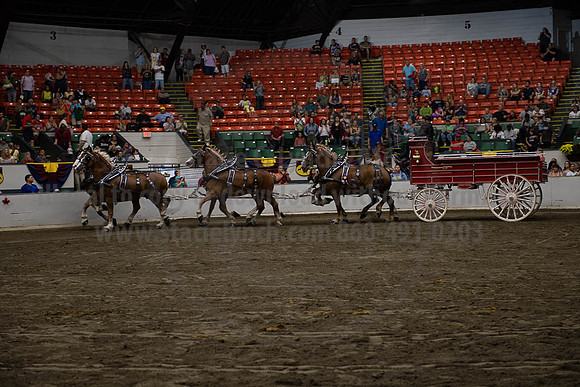 2019BigE_09292019_SCL_0157