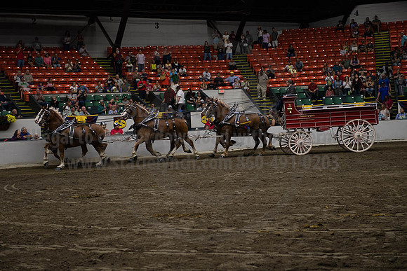 2019BigE_09292019_SCL_0159