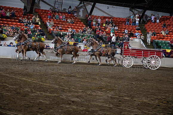 2019BigE_09292019_SCL_0160