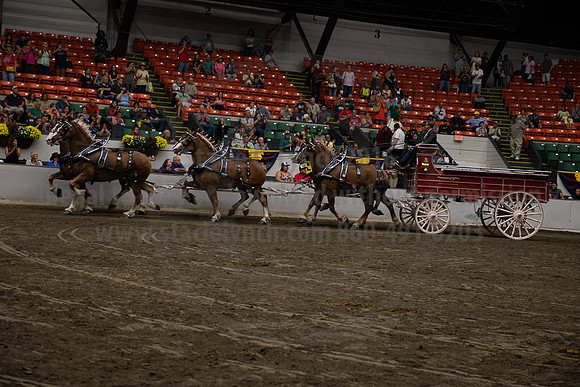 2019BigE_09292019_SCL_0161