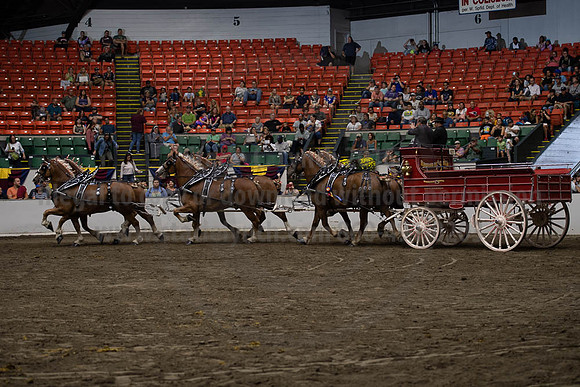 2019BigE_09292019_SCL_0164