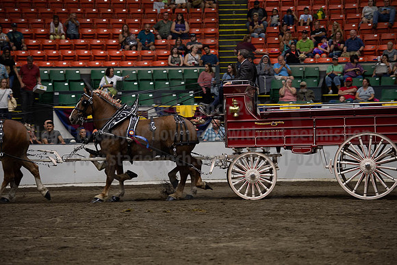 2019BigE_09292019_SCL_0165