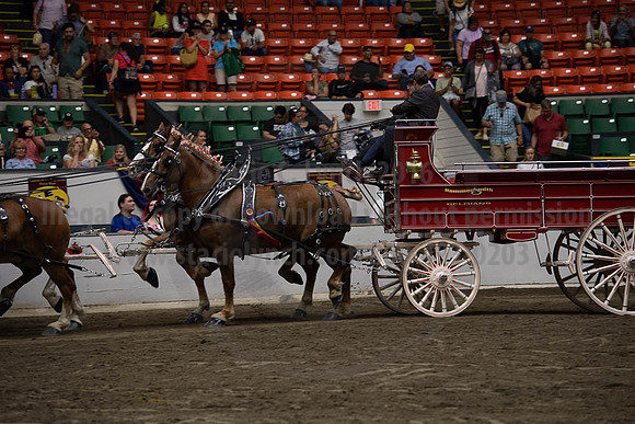 2019BigE_09292019_SCL_0166