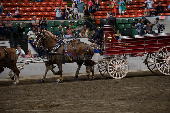 2019BigE_09292019_SCL_0167