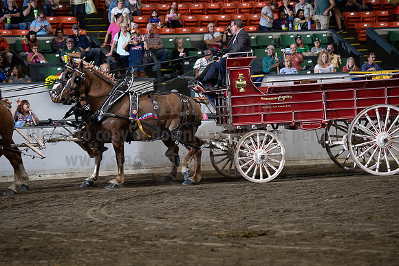 2019BigE_09292019_SCL_0168