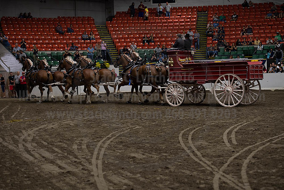2019BigE_09292019_SCL_0172